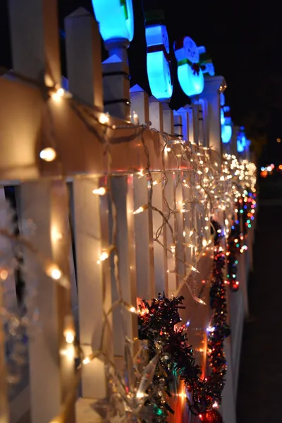 DSC_5773 (Large).JPG